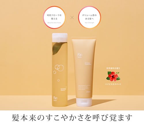 リ：エミサリー トリートメント 詰替用エコパック 600g【リニューアル