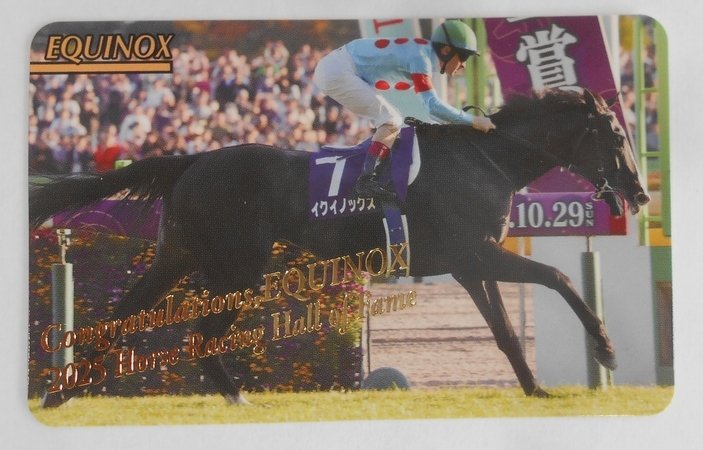 Yahoo!オークション -「まねき馬 イクイノックス」の落札相場・落札価格