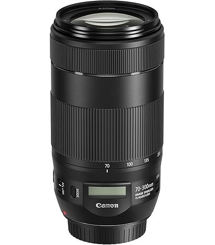 Amazon.co.jp: CANON（キャノン） RF100-400mm F5.6-8 IS USM ズーム
