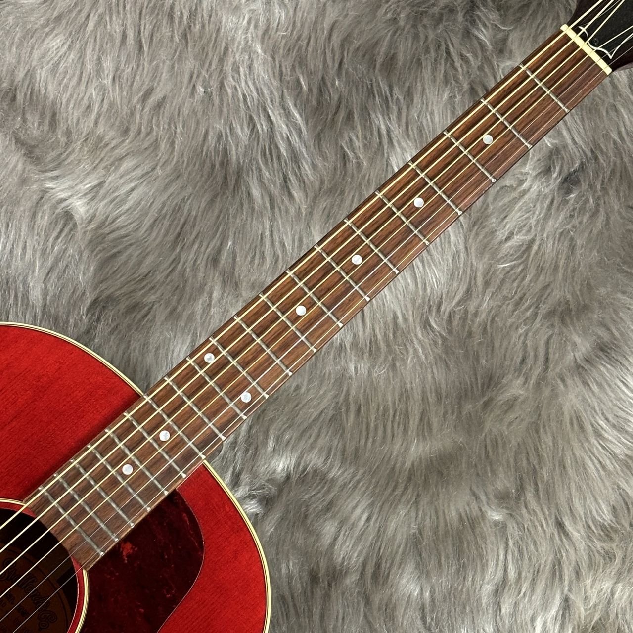 Stafford SLG360（中古/送料無料）【楽器検索デジマート】