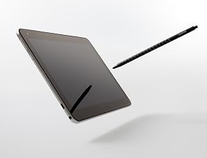 Amazon.co.jp: raytrektab DG-D10IWP 筆圧感知ペン付き 10.1インチ